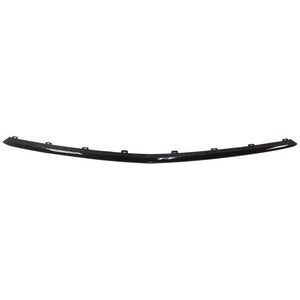 Bumper Molding image