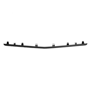 Front Bumper Molding image