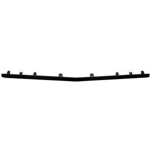 Front Bumper Molding image