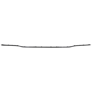 Rear Bumper Molding image