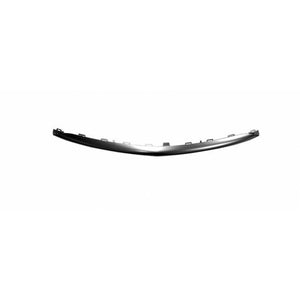Front Bumper Molding image