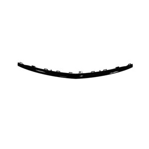 Front Bumper Molding image