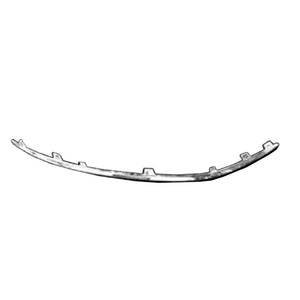 Front Passenger Side Bumper Molding image