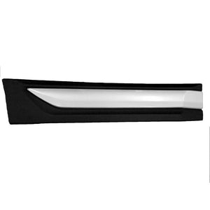 Rear Passenger Side Door Molding image