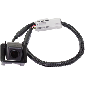 Rear Park Assist Camera image