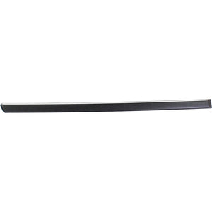 Rear Passenger Side Door Molding image