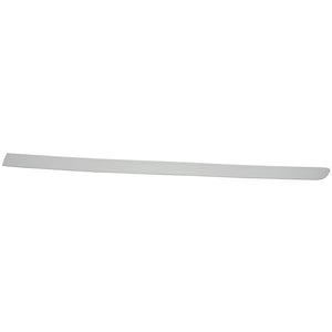 Rear Driver Side Door Molding image