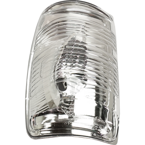 Driver Side Door Mirror Turn Signal Light image