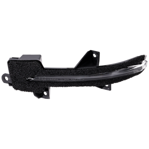 Driver Side Door Mirror Turn Signal Light image