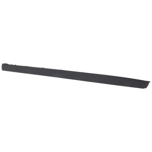 Front Passenger Side Door Molding image