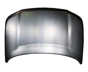 Hood Panel Assembly image