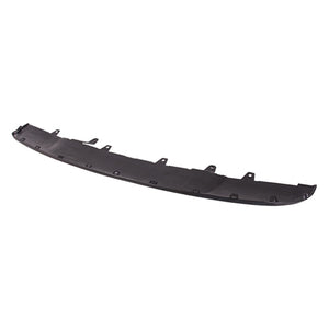 Rear Bumper Valance / Grille Kit image