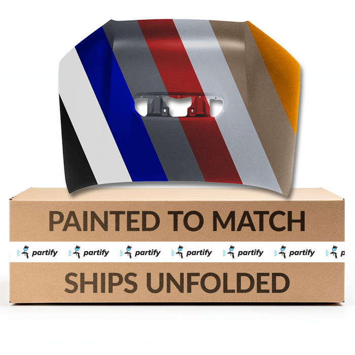 Toyota 4RUNNER Hood With Scoop Hole - TO1230218