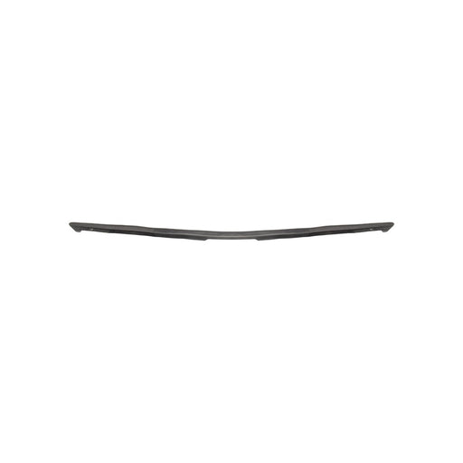 Toyota Corolla Base/Hybrid/Hybrid LE/Hybrid Nightshade/Hybrid SE/Hybrid XLE/Hybrid XSE/L/LE/Nightshade/S/SE/SE Apex/SE Nightshade/XLE/XSE/XSE Apex Front Hood Molding Hood Seal - TO1235129