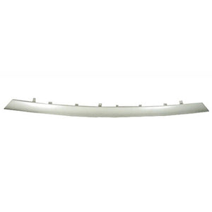 Bumper Molding image