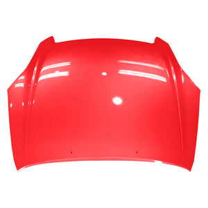 Hood Panel Assembly image