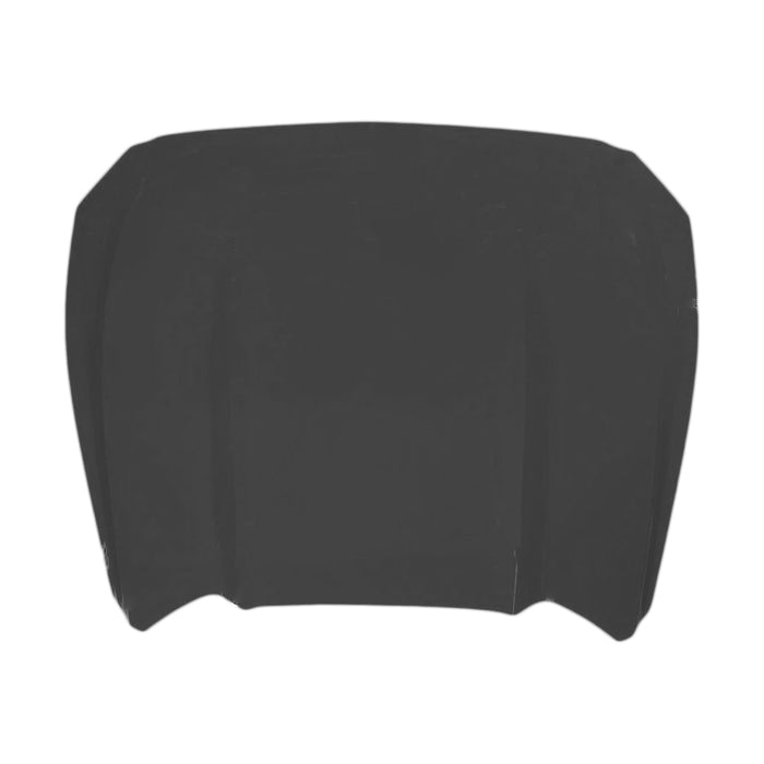 Ford Mustang Hood Without Scoop - FO1230312