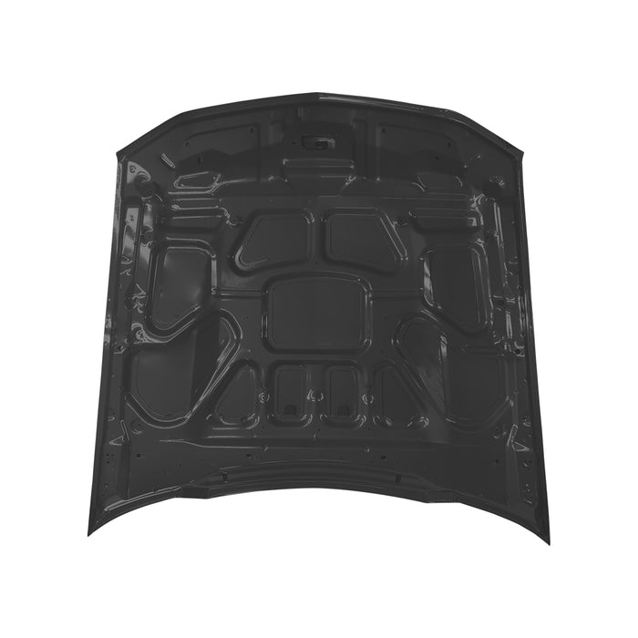 Ford Mustang Hood - FO1230290