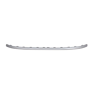 Front Bumper Molding image