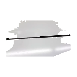 Hood Lift Support Assembly image