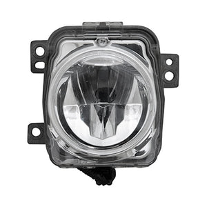Passenger Side Fog Light Assembly image