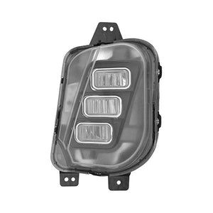 Passenger Side Fog Light Assembly image