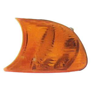 Driver Side Parking Light Assembly image