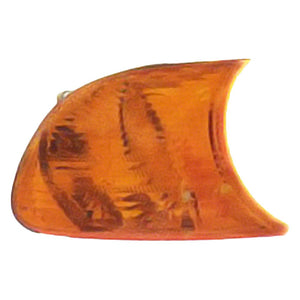 Passenger Side Parking Light Assembly image