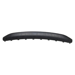 Front Bumper Molding image