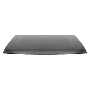 Hood Panel Assembly image