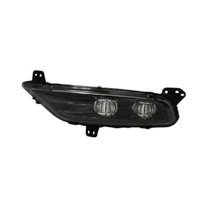 Driver Side Fog Light Assembly image