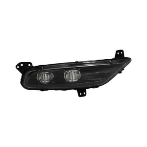 Passenger Side Fog Light Assembly image
