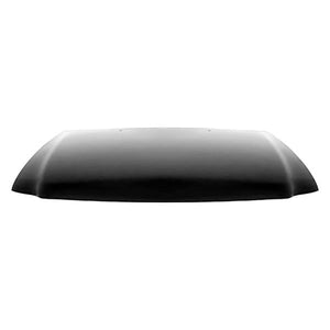Hood Panel Assembly image
