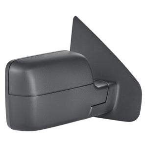 Passenger Side Door Mirror image