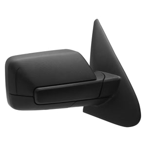 Passenger Side Door Mirror image