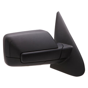 Passenger Side Door Mirror image