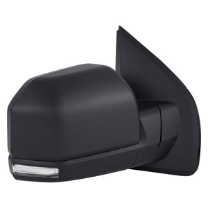 Passenger Side Door Mirror image