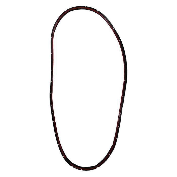 Ford Focus Rear Driver Side Door Molding On Door Weatherstrip - FO1590106