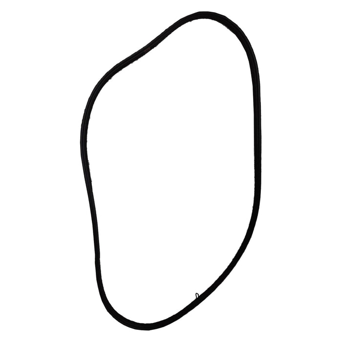 Ford Focus Tailgate Molding Weatherstrip - FO1930106