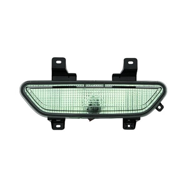 Ford Mustang Back Up Light Assembly - FO2880100