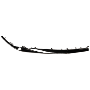 Front Passenger Side Bumper Molding image