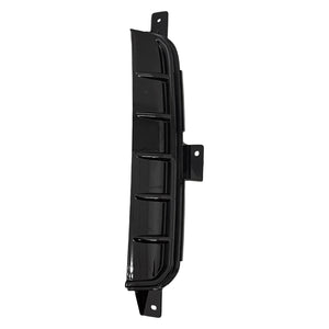 Front Bumper Molding image