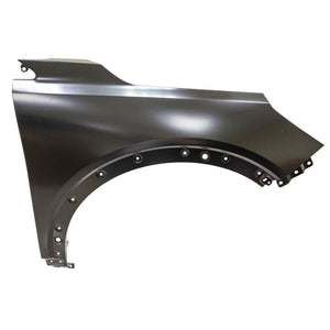 Fender image