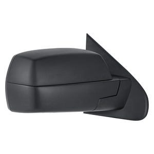 Passenger Side Door Mirror image