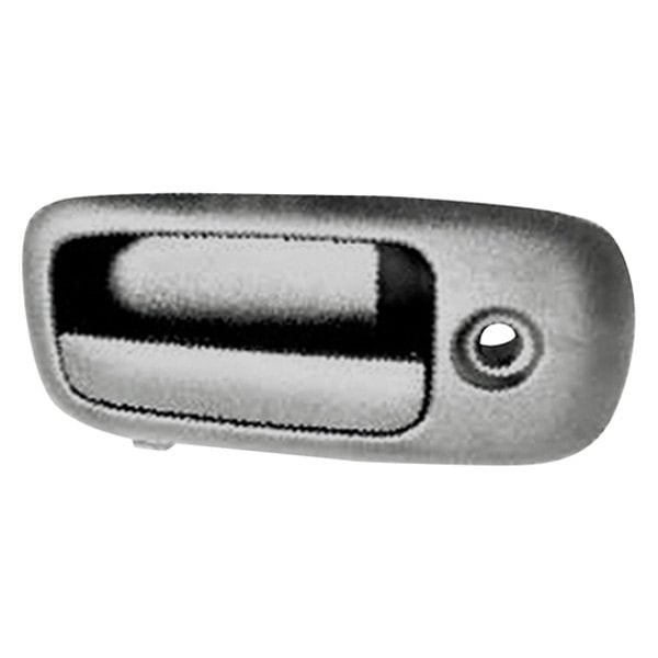 Chevrolet Express 1500/2500/3500 Exterior Door Handle Hinged Door - GM1513104