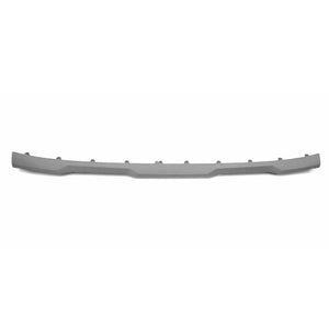 Front Bumper Molding image