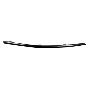 Front Bumper Molding image