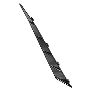 Rear Bumper Molding image