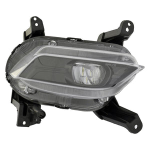 Passenger Side Fog Light Assembly image