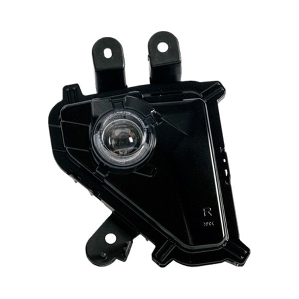 Lexus GX460 Passenger Side Fog Light Assembly - LX2593117